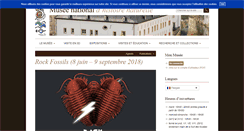 Desktop Screenshot of mnhn.lu